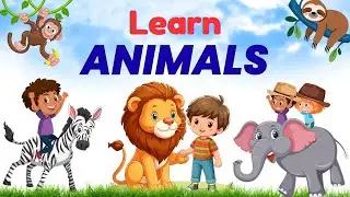 Learn Animal Sound | Elephant | Lion | Tiger | Monkey | Learn Wild Animals | Learn Farm Animals