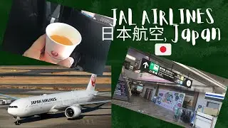 JAL Airline Travel Experience, Japan Domestic Airport #japan #jal #japanvlog #viral #japanairlines