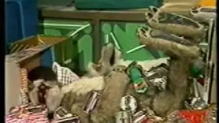 The Wolves - What's Up Doc - the morning after New Year's celebrations
