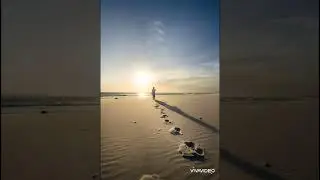 La vida pasa, y el amor no sé,