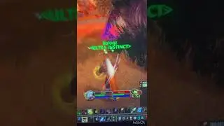 WoW SoD Hunter vs Shamen