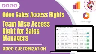 Odoo Sales Team Access Rights | Custom App
