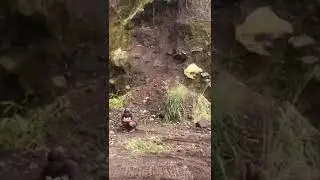Tambang pasir merapi lokasi petung