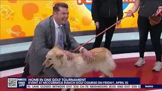 Golf to Save Pets at the Arizona Humane Society's 6th Annual Home in One Golf Tournament!