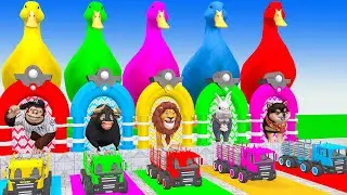 Long Slide Game With Cow Elephant Gorilla Hippopotamus Tiger - 3d Animal Game - Funny 3d Animals