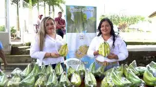 BRIGADA DEL NUEVO ECUADOR EN PLAN PILOTO