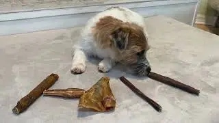 Дегустация сэмплера с Puffin (@whats.one.more.dog)