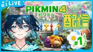 【ピクミン４】人生初のピクミン！！【黒乃　しずく】