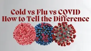 Cold Flu or COVID 19