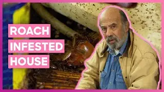 Cleaners Find A Nest of Roaches In Hoarder&rsquo;s House | Hoarding: Buried Alive