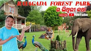Rayagada Forest Park ରାୟଗଡା ଫୋରେଷ୍ଟ ପାର୍କ ର ଭିତ୍ତିରୀ କଥା Rayagada Ki Forest Park   📍
