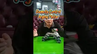 Remote Control RC Smart Robot Doggy atau RC Anjing pintar
