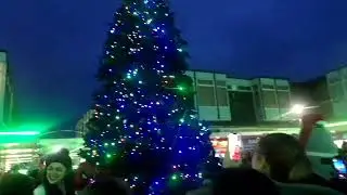 Longton light switch 2025