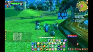 Mount Guide- Swift Springstrider