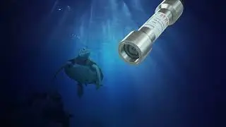 DIVEVISION
