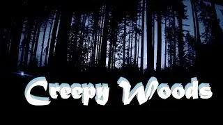 Creepy Night In The Woods Haunting Sounds Time Lapse