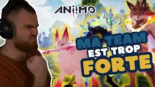 Pr&eacute;sentation de mon &eacute;quipe finale sur ANIIMO | MY ANIIMO