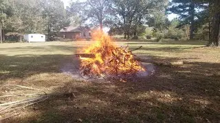 Burning Stuff 1005: Scarred Tree Cleanup