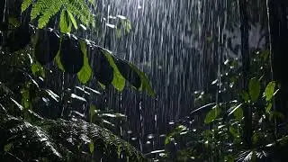 🔴 Live 🌧️ Soft Rain Forest Sounds For Night Sleep Relaxation And Gentle Mind Calming Before Rest