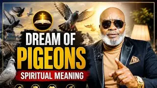 DREAM OF SEEING A PIGEON MEANING & INTERPRETATION 