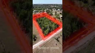 Texas Land For Sale - Beeville Texas - Bee County Texas - 0.8 Acres - No Restrictions No HOA!!!!