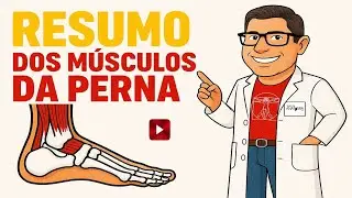 RESUMO MÚSCULOS DA PERNA #anatomy #anatomiaclinica #anatomia #enfermagem #fisioterapeuta #medico