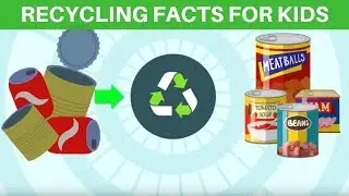 Recycling Facts for Kids - Why is Recycling Important? | What is Recycling? | Recycling for Kids