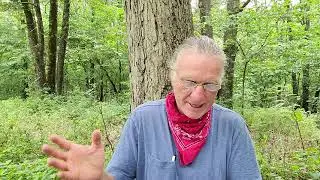 ACIM Lesson 199 with Will E July 18, A Course In Miracles Workbook Year Journey