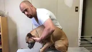 Force Fetch day 3