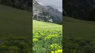 Chukail meadow | mankial valley | swat