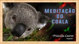 Medita&ccedil;&atilde;o  Animal de Poder do Coala -Tranquilidade e Calma