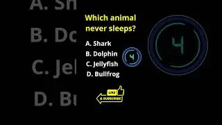 Which animal never sleeps? 🤔