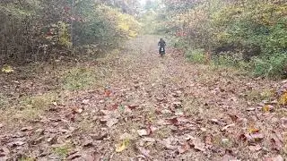 Testing Street Dual Sport Tires v.s Knobbies Bashan Brozz Chinese Dual Sport