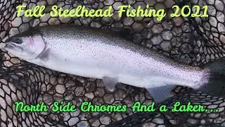 FALL STEELHEAD FISHING 2021 | NORTH SIDE CHROMES AND A LAKER...