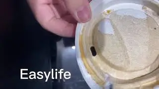 Sugarcane bagasse lids （Hot drink bagasse lids）