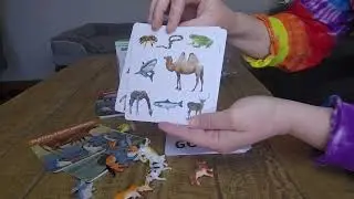 Dementia or Alzheimer's activities for seniors, with memory and matching games