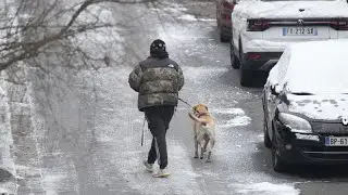 Cold snap causes disruption in Europe