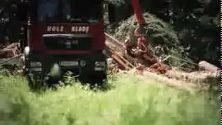Holz Klade - Forstservice