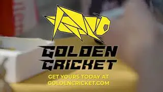 GOLDEN CRICKET PROTEIN - The Future of Nutrition