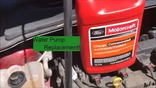 2013 Ford Focus Water Pump Replacement - How To!