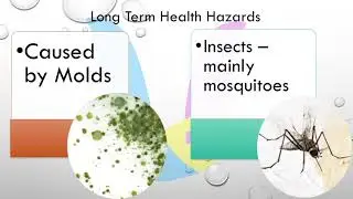 Health Hazards that happen following a Hurricane