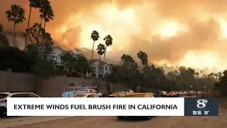 Extreme winds fuel wild fires in California