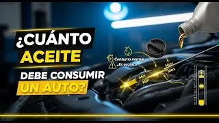 cuanto aceite debe CONSUMIR un AUTO💥