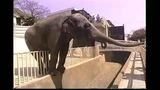 到津遊園2 (1994.4.2)