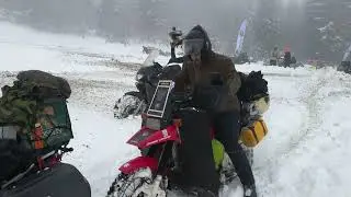 Wolfentreffen 2026