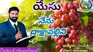 యేసు నేను ద్రాక్షావల్లిని( I AM True Vine )
