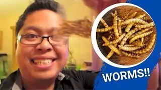 Filipinos Eating Crickets and Worms