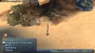 Взятие Meteorite (D) в FFXII IZJS с помощью метода RNG