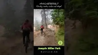 JMP MiniChap #925trailrider #mtb #bikeadventure #gopro #mountainbiking #insta360oner