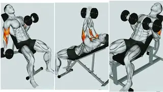 Best Bicep Exercises to Build Bigger, Stronger Arms | Home & Gym Workout Guide